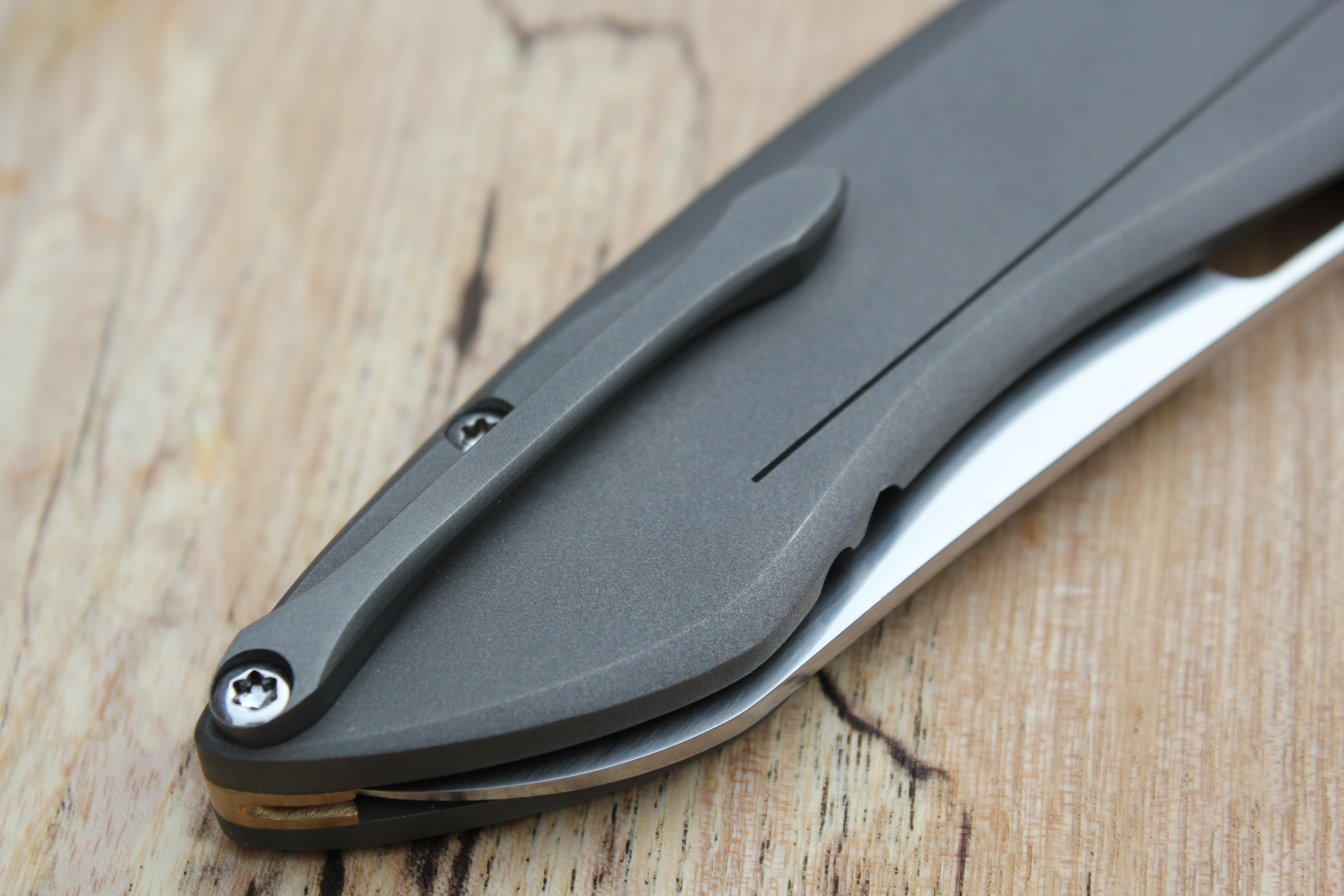 an image of a pocket clip