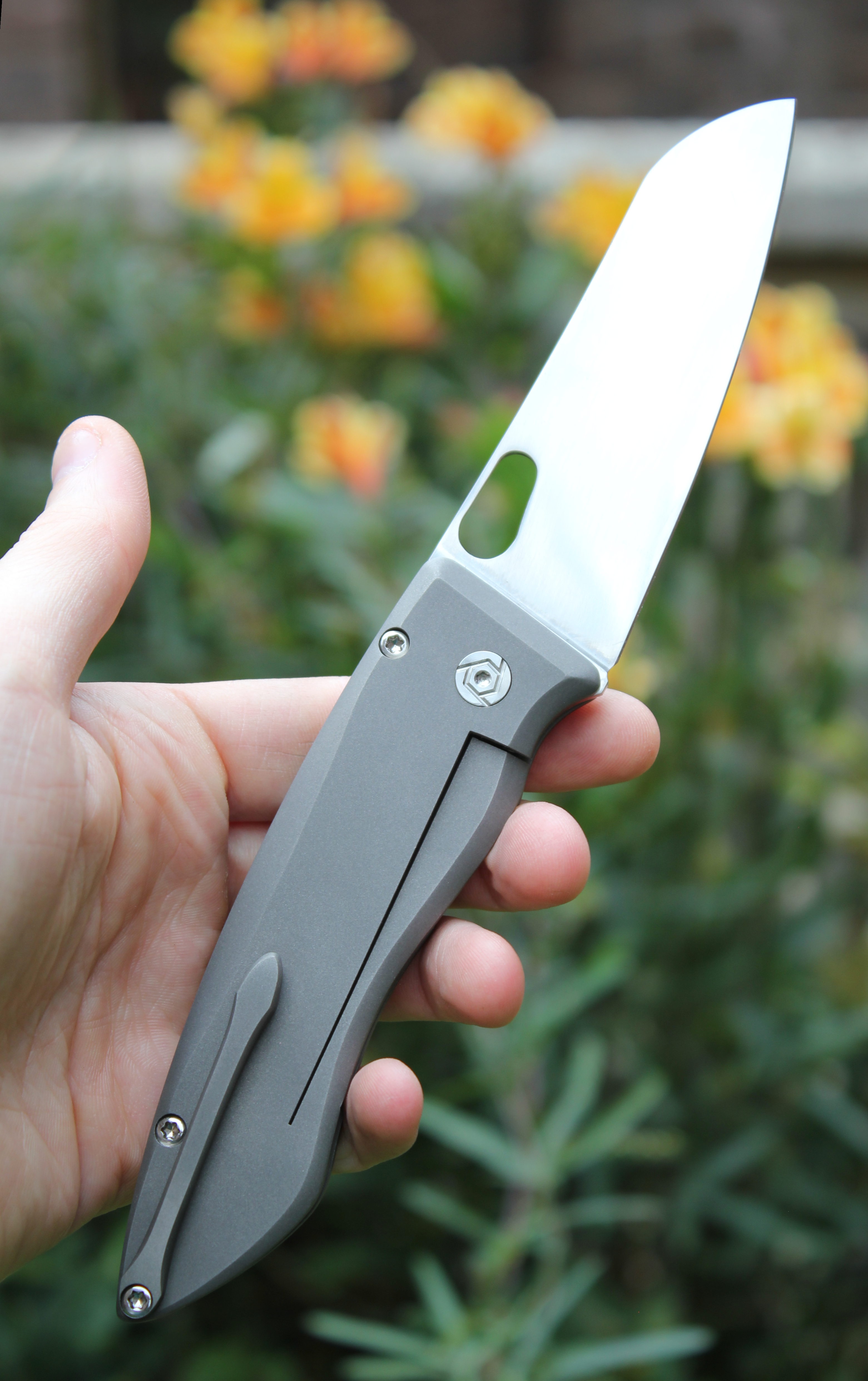 an image of a folding knife open